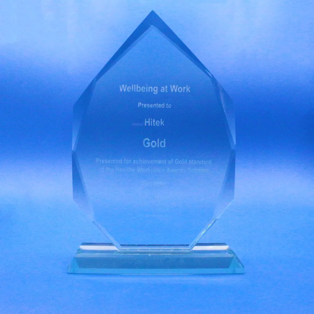 Health in the workplace trophy award