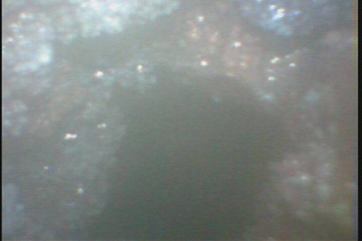 Case Study - RAF Water Boiler 1 Descale water boiler Before
