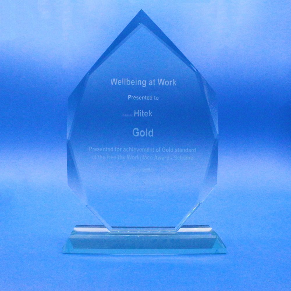 Health In The Workplace 6 Health in the workplace trophy award